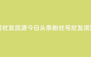 今日头条小号批发货源 - 今日头条粉丝号批发渠道推荐!