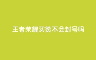 王者荣耀买赞不会封号吗 - 一元买赞100个赞