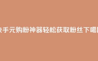 快手10元购粉神器，轻松获取1000粉丝