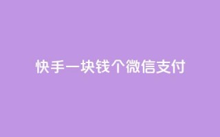 快手一块钱100个微信支付,刷粉黑科技涨粉工具 - 24小时自助下单云商城 - 云小店24小时自助下单