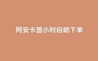 阿安卡盟24小时自助下单,qq浏览自己看也算浏览量吗 - 抖音快手24小时自助服务 - QQ空间访客量免费网站