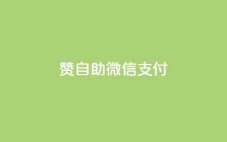 Ks赞自助微信支付,快手低价上热门 - 24小时秒单业务平台免费 - 快手最低价下单平台