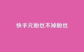 快手1元3000粉丝不掉粉丝 - 快手1元获取3000粉丝确保不掉粉！