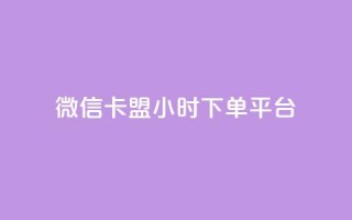 微信卡盟24小时下单平台 - 抖音100充值入口