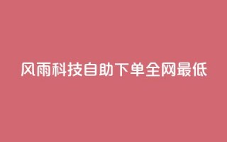 风雨科技自助下单全网最低 - 风雨科技自助下单享受全网最低价格攻略~