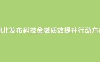 湖北发布科技金融质效提升行动方案