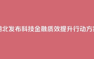 湖北发布科技金融质效提升行动方案