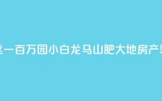 快手粉丝一百万0.01园小白龙马山肥大地房产装修网站,dy下单平台 24小时自助下单 - 彩虹发卡网官网 - QQ说说浏览量免费网站