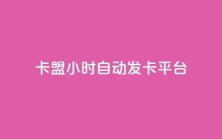 cf卡盟24小时自动发卡平台 - CF卡盟24小时自动发卡平台：一站式高效发卡解决方案!