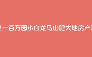 快手粉丝一百万0.01园小白龙马山肥大地房产装修网站,qq空间免费领取20个赞 - 快手涨1万粉 - 快手业务网站