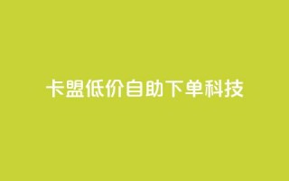 卡盟低价自助下单科技 - 卡盟提供便捷低价自助下单服务~