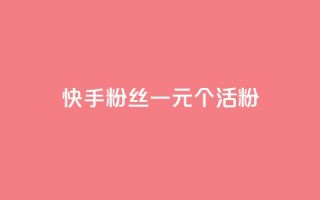 快手粉丝一元1000个活粉 - 获取1000个快手活粉只需1元！