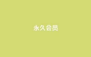 永久会员 - 抖音涨粉代理有什么好处