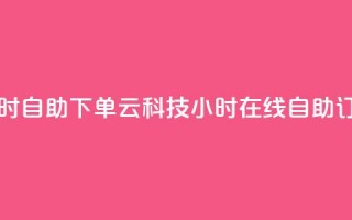 12云科技24小时自助下单(12云科技24小时在线自助订购)