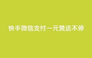 快手微信支付：一元赞送不停