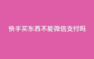 快手买东西不能微信支付吗,qq钻业务网 - 抖音千粉多吗 - 快手粉丝四万能赚多少钱啊