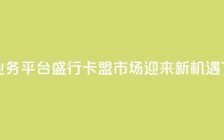 虚拟业务平台盛行，卡盟市场迎来新机遇