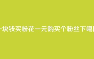 一块钱买1000粉 - 花一元购买1000个粉丝！