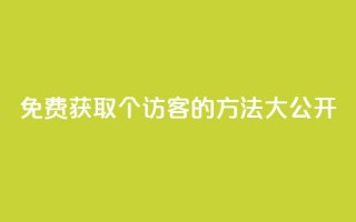 免费获取100个访客的方法大公开