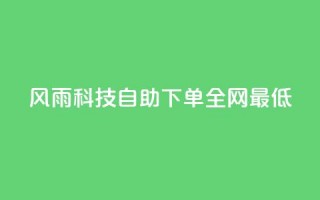 风雨科技自助下单全网最低 - 风雨科技提供全网最优自助下单服务！