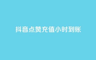 抖音点赞充值24小时到账 - dy24h自助下单商城