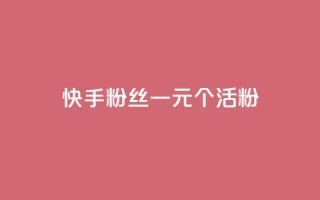 快手粉丝一元1000个活粉 - 快手粉丝活粉达1千个，仅需1元！!