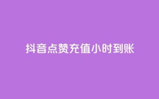 抖音点赞充值24小时到账,抖音二十四小时点赞自助平台 - 快手涨1万粉 - ks业务最火的三个网站