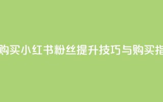 小红书500粉购买 - 小红书500粉丝提升技巧与购买指南!