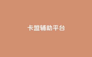 卡盟辅助平台 - 高效实用的卡盟辅助平台助你取得更佳效果!