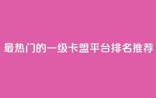 最热门的一级卡盟平台排名推荐