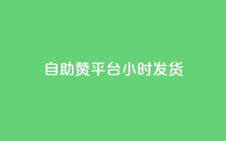 自助赞平台24小时发货,快手业务区自助 - 一元买500个赞 - ks便宜24小时业务