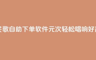 全民K歌自助下单软件，1元1000次，轻松唱响好声音