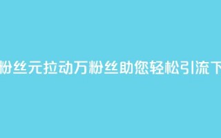 1元3万粉丝(1元拉动3万粉丝，助您轻松引流)