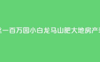 快手粉丝一百万0.01园小白龙马山肥大地房产装修网站,dy自定义评论业务 - qq说说赞低价下单 - qq点赞业务