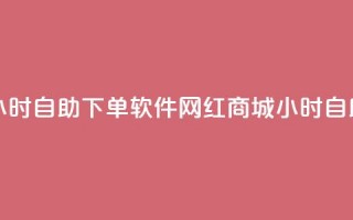 网红商城24小时自助下单软件(网红商城24小时自助购物软件)