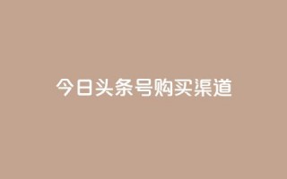 今日头条号购买渠道,抖音买站0.5块钱100个 - 抖音业务下单2 - 快手浏览下单