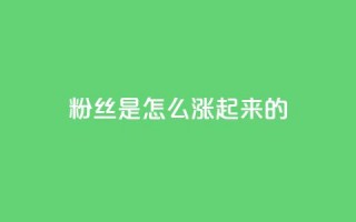 粉丝是怎么涨起来的,qq空间点赞自助 - qq空间说说刷转发数量 - qq自助平台全网最低