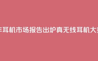 2024上半年耳机市场报告出炉：真无线耳机大势已去