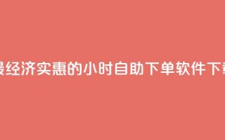 最经济实惠的24小时自助下单软件下载