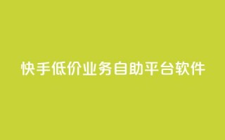 快手低价业务自助平台软件,全网辅助最低货源网 - QQ点赞助手 - qq访客量增加网站免费