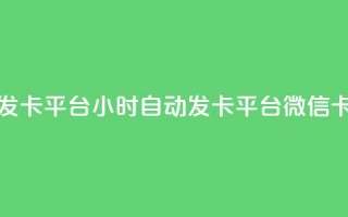 微信卡盟24小时自动发卡平台 - 24小时自动发卡平台微信卡盟优质服务!