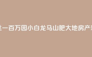 快手粉丝一百万0.01园小白龙马山肥大地房产装修网站,抖音粉丝号账号交易平台 - qq一毛钱10000赞 - 24自助下单