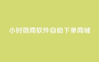 24小时微商软件自助下单商城,KS自助人气 - qq空间人气 - 抖音怎么支付宝充值