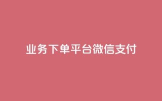 KS业务下单平台微信支付,空间自助下单业务 - qq卡盟网站 - qq点赞业务