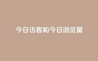 今日访客和今日浏览量 - 今日访问人数与页面浏览统计分析~