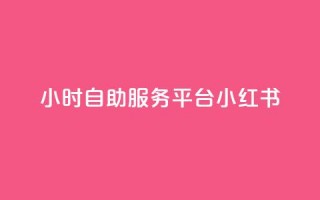 24小时自助服务平台小红书 - 小红书24小时自助服务平台，实用又便捷~