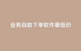 ks业务自助下单软件最低价,低价qq空间访客 - 低价卡盟平台 - 发卡网自动发卡平台