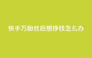 快手1万粉丝后想挣钱怎么办 - 如何在快手1万粉丝后实现收益？。