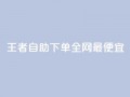 王者自助下单全网最便宜,快手引流软件全自动免费 - 子潇网络平台有哪些 - 10000个赞1毛