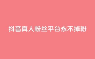 抖音真人粉丝平台 永不掉粉,qq云商城网站 - 拼多多帮砍助力网站便宜 - 暑假赚钱项目拼多多助力项目